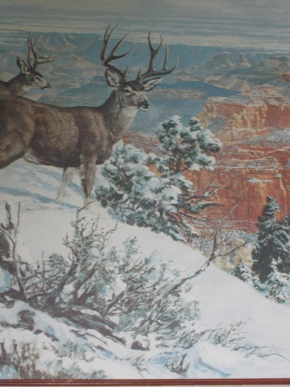 Vintage wildlife deer lithograph on canvas framed, by Beecham - Picture 2 of 8